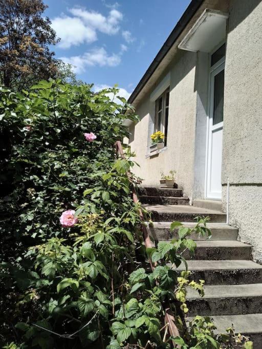 Narcy Maison De Village En Bord De Riviere מראה חיצוני תמונה