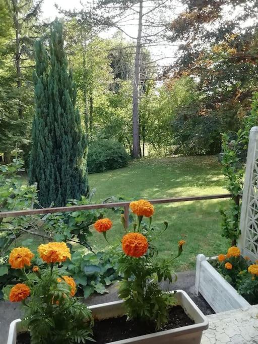 Narcy Maison De Village En Bord De Riviere מראה חיצוני תמונה