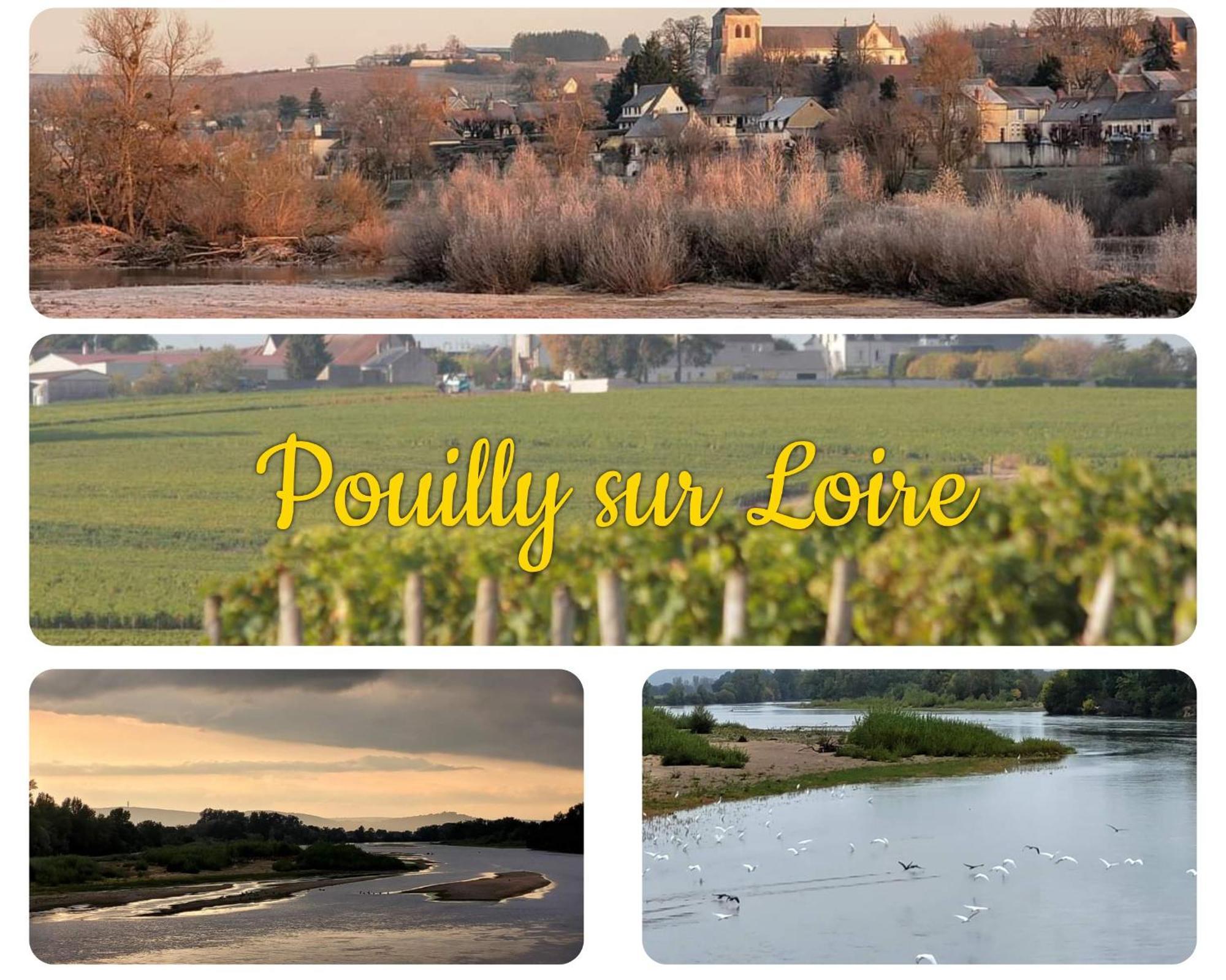 Narcy Maison De Village En Bord De Riviere מראה חיצוני תמונה